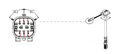 Thumbnail for version as of 06:50, 17 June 2026